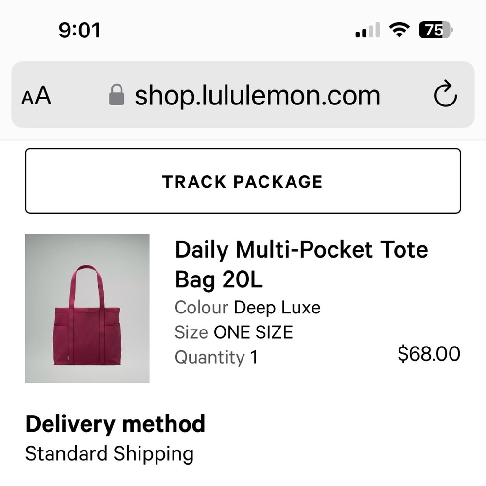 Daily Multi-Pocket Tote Bag 20L in Deep Luxe